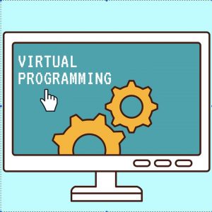BI Park District: Paid Virtual Programming
