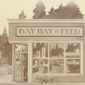 Bay Hay and Feed
