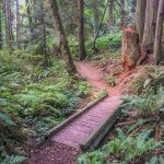 Fairy Dell Trail