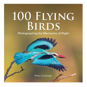 Peter Cavanagh: Photographing the Mechanics of Bird Flight