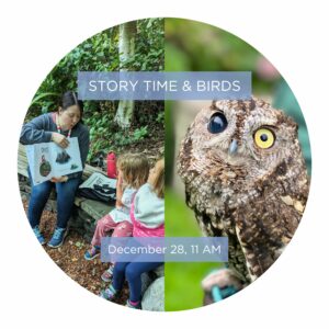 Winter Wonders: Winter Story Time with Kitsap Regional Library and West Sound Wildlife