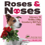 Roses and Noses