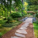 April Focus Walk: Japanese Garden